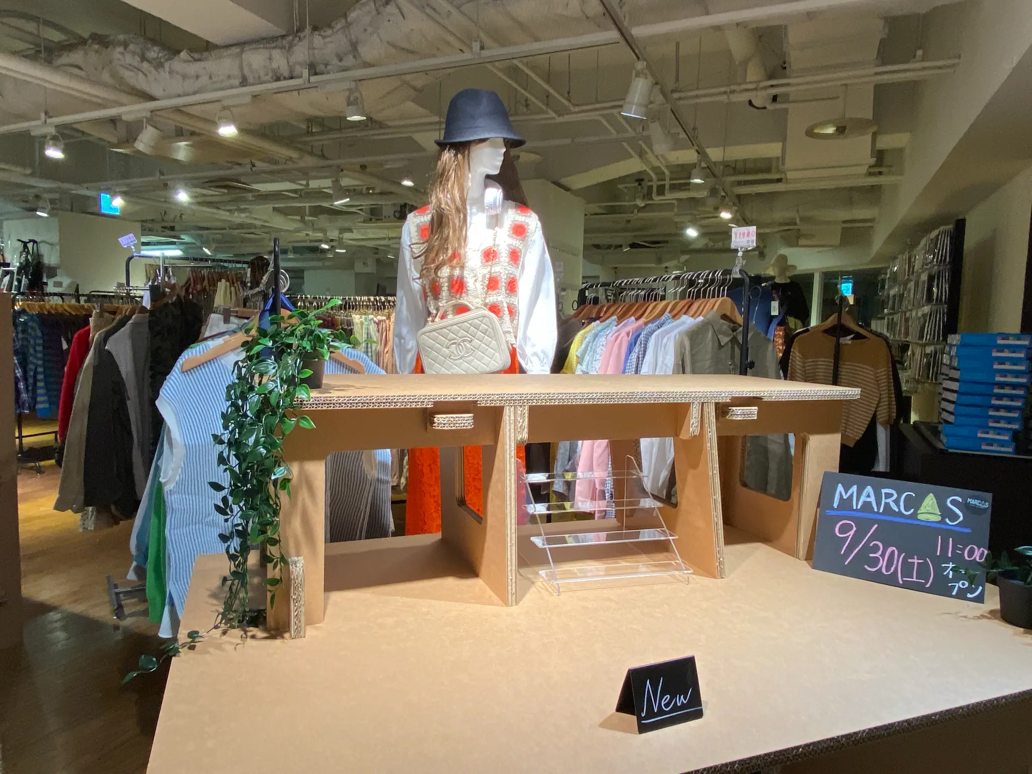 MARCAS Store Interior 2